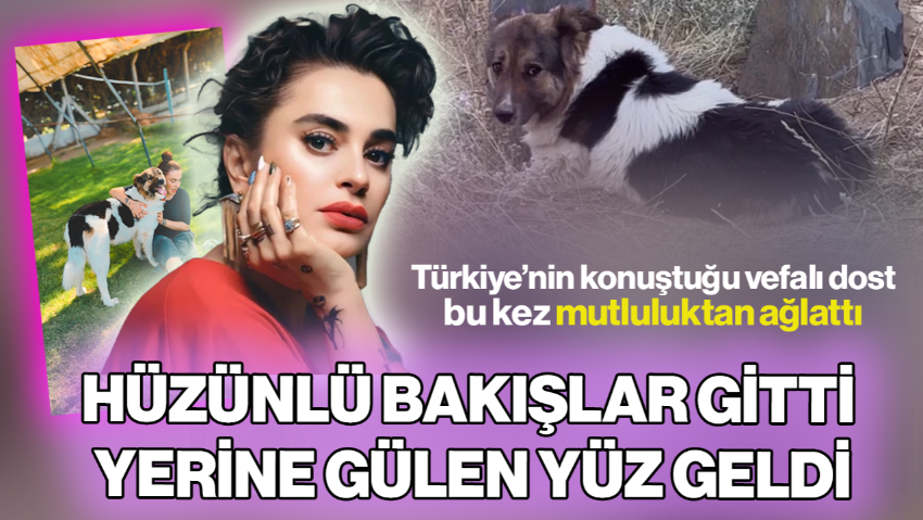 Türkiye’nin Konuştuğu Vefalı Dost 'Heval' Bu Kez Mutluluktan Ağlattı! Ceylan Ertem Paylaştı, Hüzünlü Bakışlar Gitti Yerine Gülen Yüz Geldi