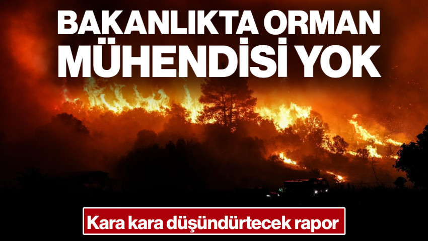 Tarım Orman-İş'ten Çarpıcı Yangın Raporu: Bakanlıkta Orman Mühendisi Yok!