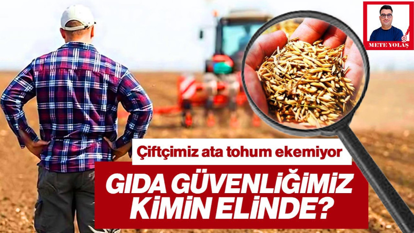 Çiftçimiz Ata Tohum Ekemiyor: Gıda Güvenliğimiz Kimin Elinde?