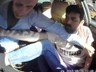 Gaziantep'te Taksiciye Korkunç Saldırı! Defalarca Bıçakladı