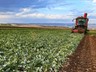 Çiftçi Sayısı Azaldı, Borç Katlandı