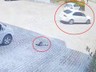 Görenler Kahroldu... Yavru Kedi Öldü, Annesi Başından Ayrılmadı
