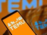 TEMU'dan Alışveriş Yapanlar Dikkat! Bu Ürünleri Alanlar Pişman Olacak, Türkiye'ye Girişi Yasaklanıyor