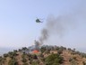 Aydın'da Zeytinlik Alanda Korkutan Yangın