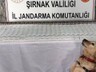 Şırnak’ta 281 Bin 500 Liralık Kaçak Malzeme Ele Geçirildi