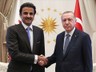 Cumhurbaşkanı Erdoğan'ın Diplomasi Trafiği Sürüyor! Katar Emiri Al Sani ile Görüştü