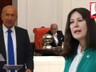 TBMM’de 'Talat Paşa' Gerginliği: DEM Partili Aslan’ın Sözleri Ortalığı Karıştırdı