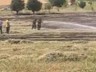 Bilecik'te Çıkan Anız Yangını Söndürüldü
