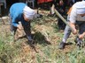 Beyaz Altını Hasat Eden Köşeyi Dönüyor: Sadece 6 Kişi Ekiyor, Her Poşeti Para Basıyor