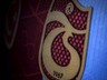 Trabzonspor Yeni Hocasını Resmen Açıkladı