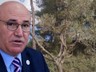 Mahmut Tanal'dan Meclis'te Zeytinlikler İçin Eylem! Defalarca Tekrarladı: 'Zeytine Dokunma, Hayata Dokunma'
