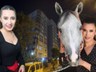 Türkiye'nin İlk Kadın Yarış Spikeriydi... Esen Gök Evinde Ölü Bulundu!