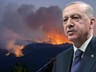 Eskişehir'deki Orman Yangınında 10 Acı Kayıp... Cumhurbaşkanı Erdoğan'dan Taziye Mesajı