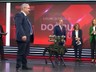 Keşif Yapıyor, Füze Atıyor, Hedefi Vuruyor! İşte Türkiye'nin İlk Silahlı Robot Köpeği