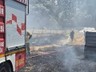 Bandırma'da Korkutan Alevler
