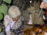 Alzheimer Hastası Kadını, Mama Verdiği Köpek Kurtardı!