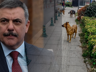 Sokak Hayvanları İçin Kritik Eşik: Bakan Çiftçi Tarih Verdi, Belediyeleri Uyardı