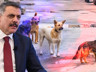 3 Belediye Başkanı Hakkında 'Sokak Köpeği' Soruşturması