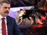 3 Belediye Başkanı Hakkında 'Sokak Köpeği' Soruşturması