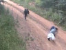 Jandarmadan Fotokapan Operasyonu: Yüzlerce Kişi Yakalandı