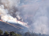 Malatya Pütürge’de Orman Yangını