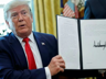 Trump'ın Vize Hamlesine Yargı Freni