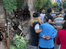 Zeynep'i Pencereden Çıkarıp Kömürlüğe Gömmüşler! Katil Zanlısı Kardeşler Birbirini Suçladı
